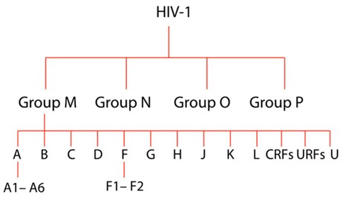 HIV-1_Figure1-Blog-DEC2023