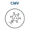 TNAC_2025-8_CMV Icon